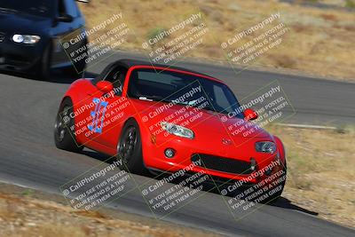 media/Sep-29-2024-Turn8 Trackdays (Sun) [[1cf3b4bb64]]/Purple/Session 1 (Turn 3)/